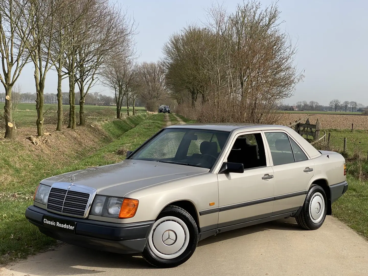 Mercedes-Benz 200 200D W124 1986, TREKHAAK, PULLMAN BEKLEDING Grau - 1