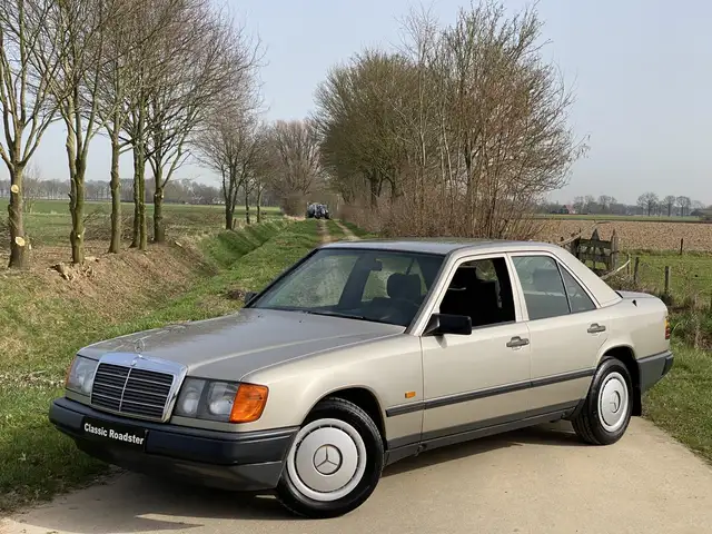 Mercedes-Benz 200 200D W124 1986, TREKHAAK, PULLMAN BEKLEDING