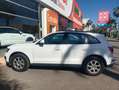 Audi Q5 Q5 2.0TDI quattro S-T 170 DPF Blanco - thumbnail 4
