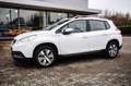 Peugeot 2008 Allure PureTech 110 Automatik/Allwetter Wit - thumbnail 3