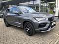 CUPRA Ateca Ateca 2.0 TSI 4Drive Winter-Paket Сірий - thumbnail 4