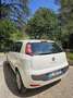 Fiat Punto Evo 5p 1.4 Dynamic s&s 77cv dual - thumbnail 3