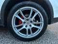 Porsche Cayenne Cayenne 3.0 Diesel Bianco - thumbnail 9