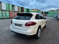 Porsche Cayenne Cayenne 3.0 Diesel Bianco - thumbnail 7