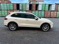 Porsche Cayenne Cayenne 3.0 Diesel Bianco - thumbnail 8