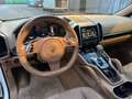 Porsche Cayenne Cayenne 3.0 Diesel Bianco - thumbnail 13
