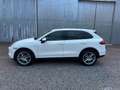 Porsche Cayenne Cayenne 3.0 Diesel Bianco - thumbnail 4