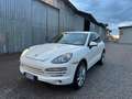 Porsche Cayenne Cayenne 3.0 Diesel Bianco - thumbnail 3