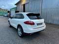 Porsche Cayenne Cayenne 3.0 Diesel Bianco - thumbnail 5
