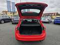 Ford Focus Traveller 1,5 EcoBlue Cool & Connect Rot - thumbnail 11