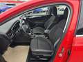 Ford Focus Traveller 1,5 EcoBlue Cool & Connect Rot - thumbnail 8