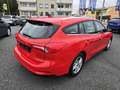 Ford Focus Traveller 1,5 EcoBlue Cool & Connect Rot - thumbnail 2