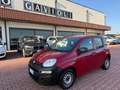 Fiat Panda Panda 1.3 mjt 16v Cross 4x4 80cv Rood - thumbnail 1