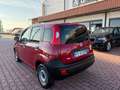 Fiat Panda Panda 1.3 mjt 16v Cross 4x4 80cv Rood - thumbnail 6