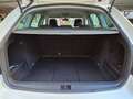 Skoda Octavia 1.6TDI CR Ambition Greenline Blanc - thumbnail 7