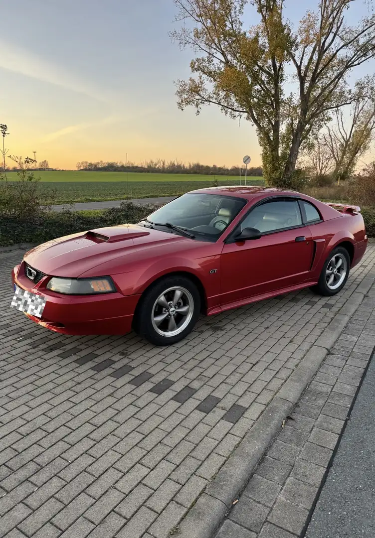 Ford Mustang V8 - 1