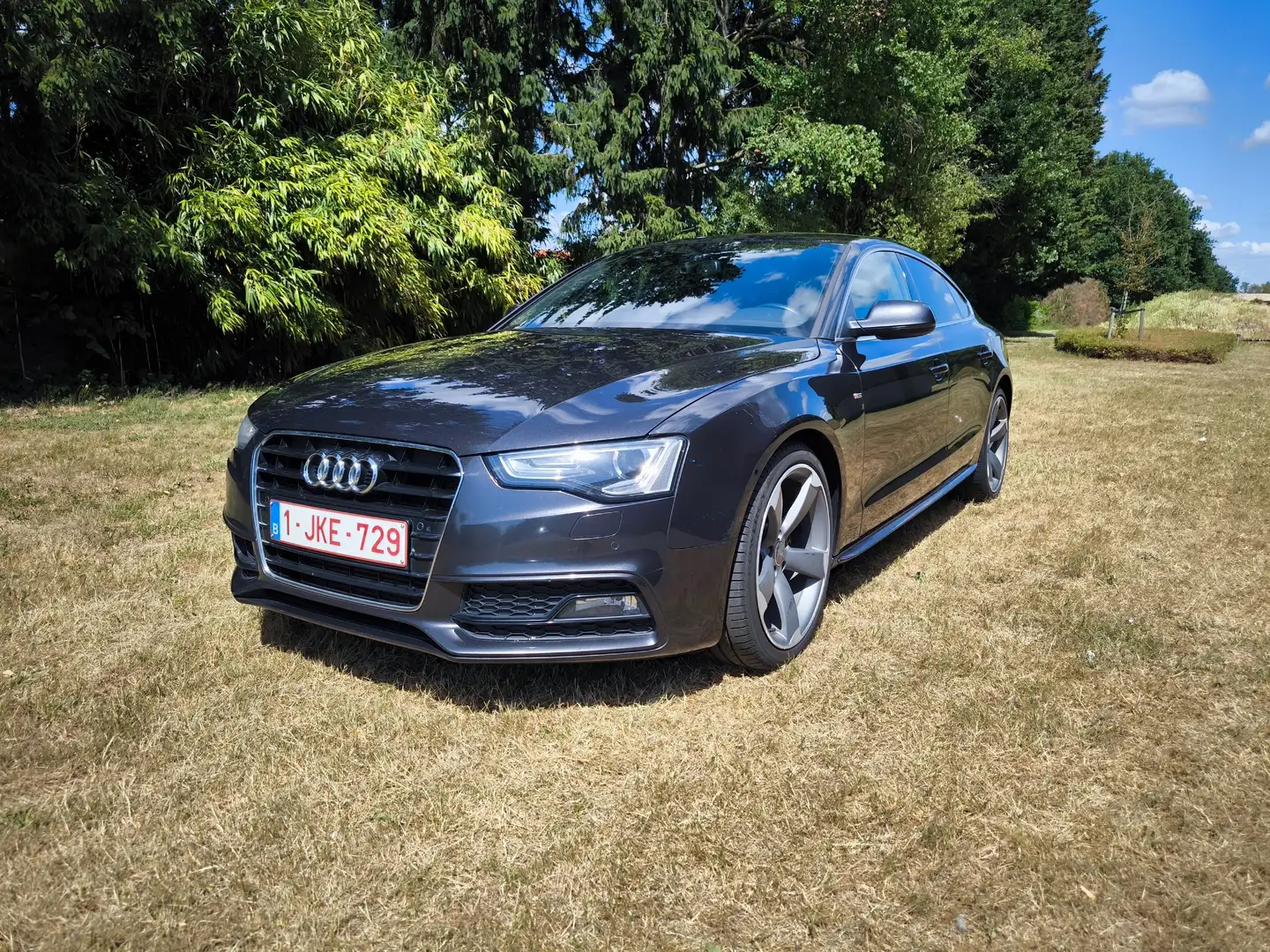Audi A5 A5 2.0 TDI Sportback DPF multitronic Gris - 1