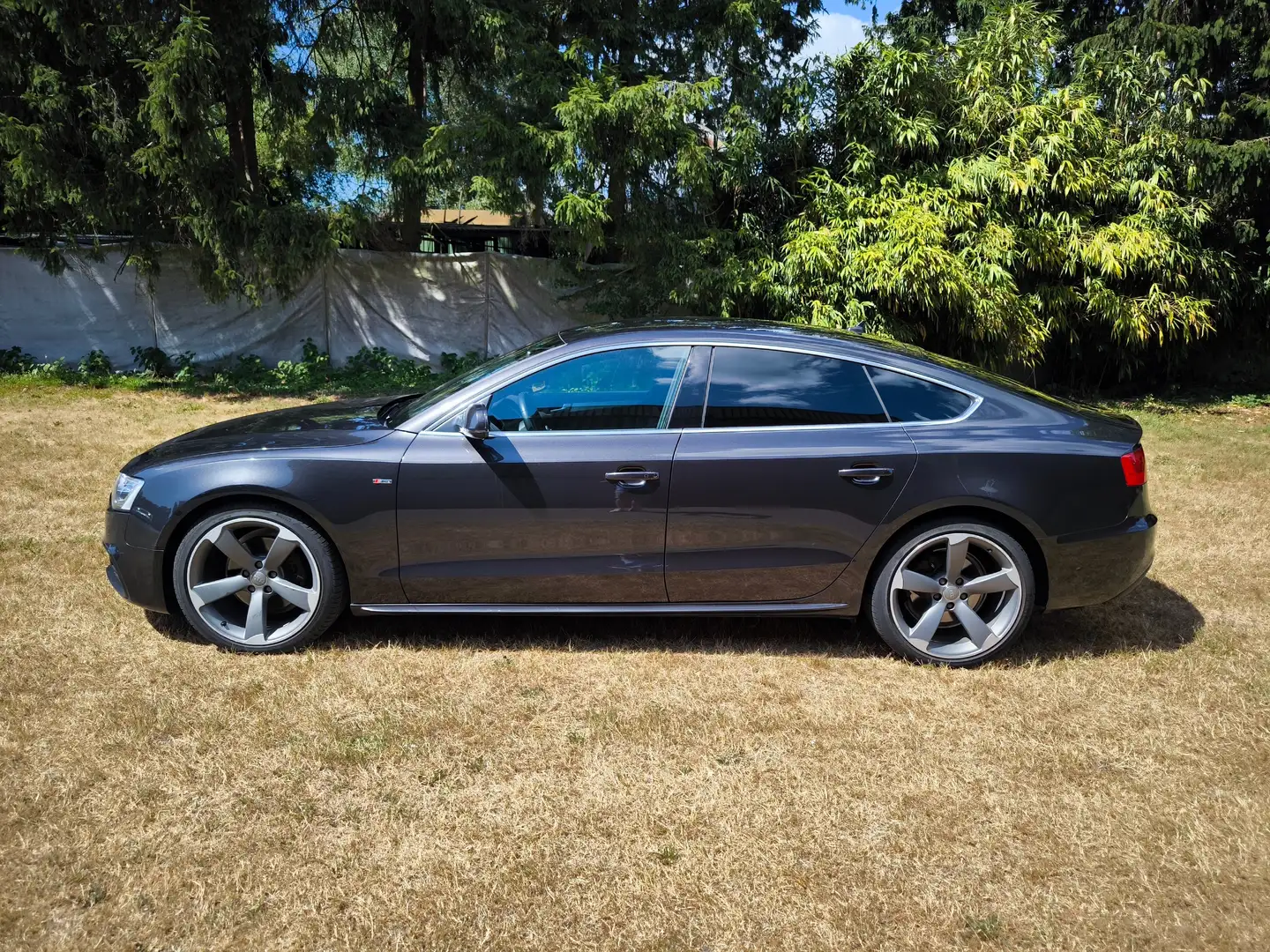 Audi A5 A5 2.0 TDI Sportback DPF multitronic Gris - 2