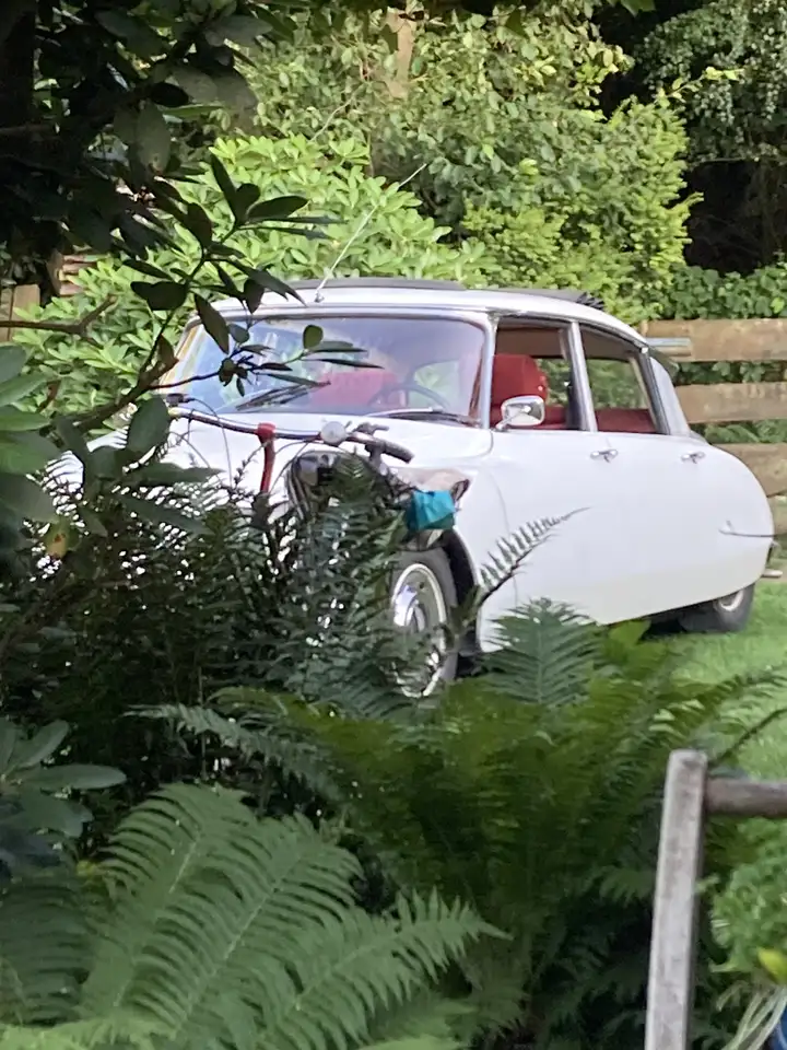 Citroen DS D-Super, foto 1