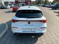 CUPRA Leon 1.5 eTSI+DSG+MatrixLED+Navi+AHKVorbereitung Blanc - thumbnail 6