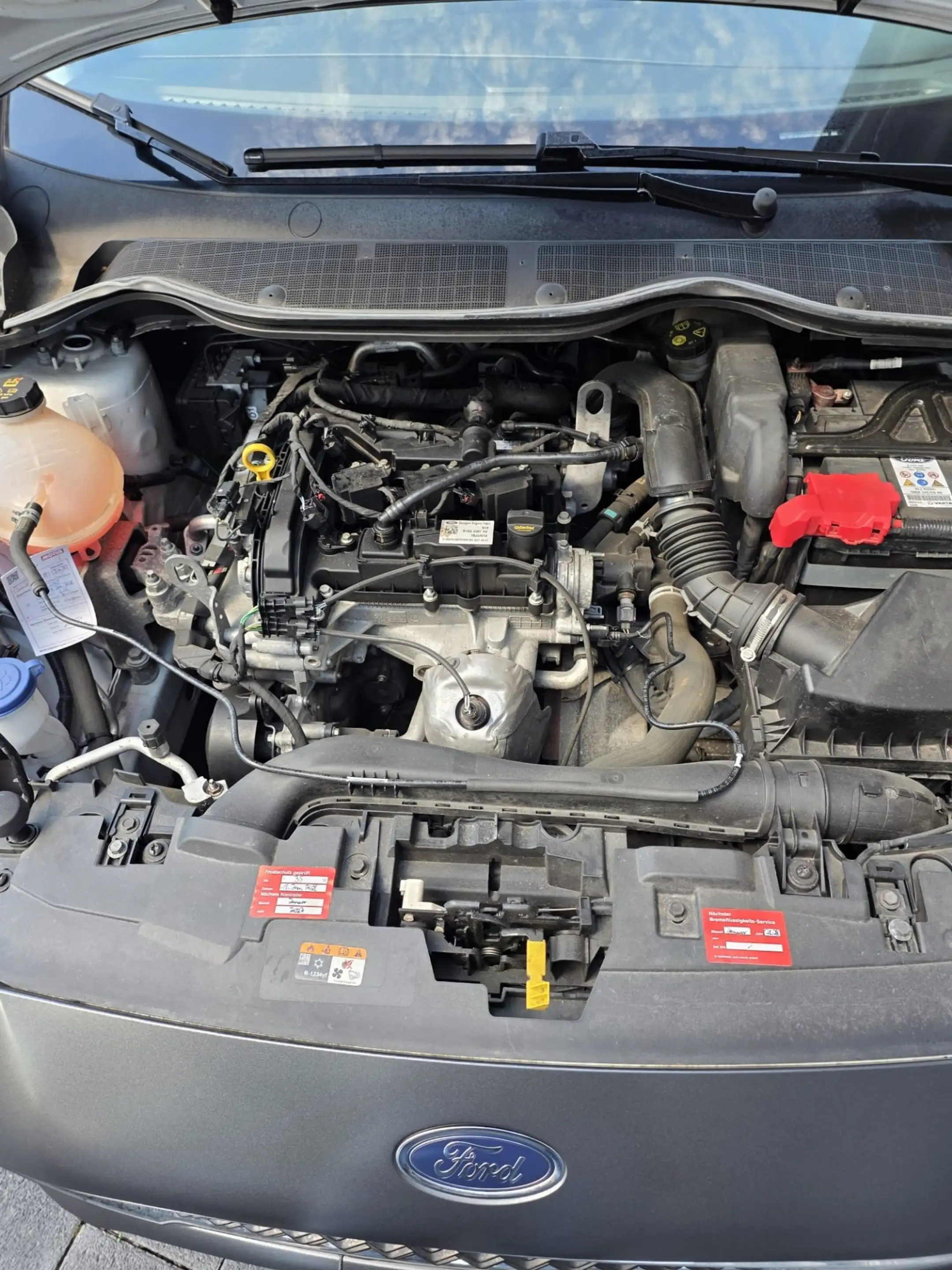 Ford Fiesta Trend — photo 10