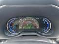 Toyota RAV 4 RAV4 2,5 Hyb. 4x2 Buissnes Ed. *LEDER SHZ KAMERA* Grau - thumbnail 15