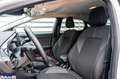 Ford Puma Puma 1.0 ecoboost hybrid Titanium s&s 125cv auto Bianco - thumbnail 3