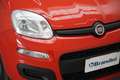 Fiat New Panda 1.0 FireFly Hybrid Easy Connect Rosso - thumbnail 4