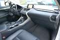 Lexus NX 200t AWD Executive-Line STANDHZ AHK LEDER NAVI Blanc - thumbnail 18