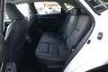 Lexus NX 200t AWD Executive-Line STANDHZ AHK LEDER NAVI Weiß - thumbnail 14