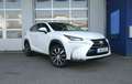 Lexus NX 200t AWD Executive-Line STANDHZ AHK LEDER NAVI Weiß - thumbnail 3
