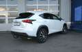 Lexus NX 200t AWD Executive-Line STANDHZ AHK LEDER NAVI Weiß - thumbnail 4
