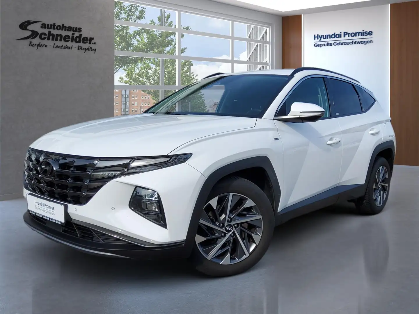 Hyundai TUCSON 1.6 TGDi 48V 6-iMT TREND NAVI/LED/EHK/DAB+/APPLE/K Weiß - 1