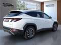 Hyundai TUCSON 1.6 TGDi 48V 6-iMT TREND NAVI/LED/EHK/DAB+/APPLE/K Weiß - thumbnail 4
