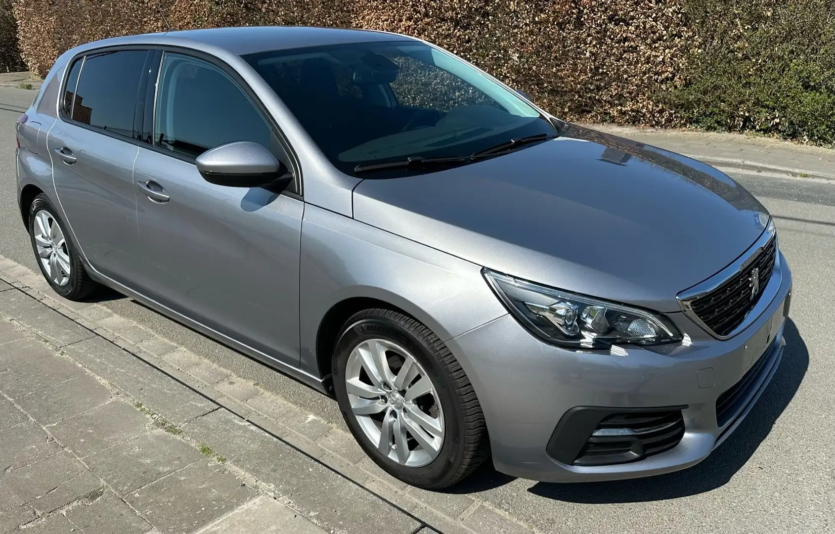 Peugeot 308 PureTech 110 Stop & Start Access Grau - 2