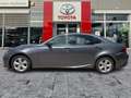 Lexus IS 300 h Business Edition Line Navi*KAM*SHZ Grau - thumbnail 4
