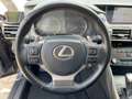 Lexus IS 300 h Business Edition Line Navi*KAM*SHZ Grau - thumbnail 13