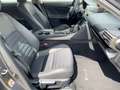 Lexus IS 300 h Business Edition Line Navi*KAM*SHZ Grau - thumbnail 11
