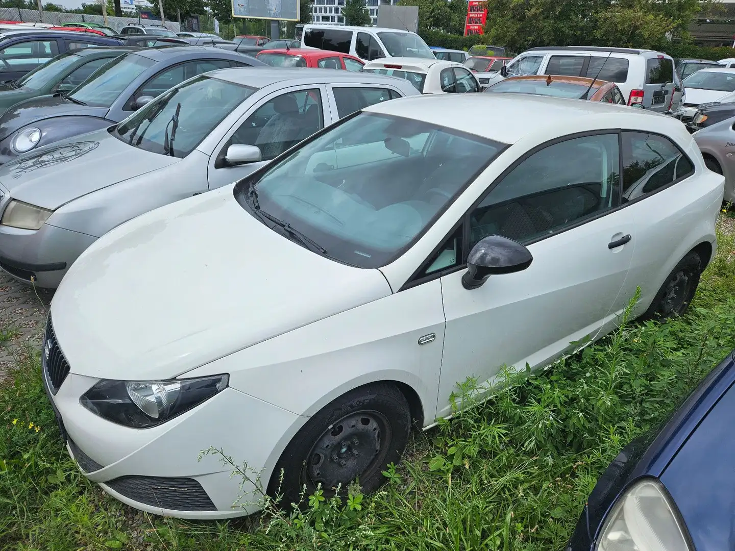 SEAT Ibiza SC/TÜV/Guter Zustand/2. Hand - 1