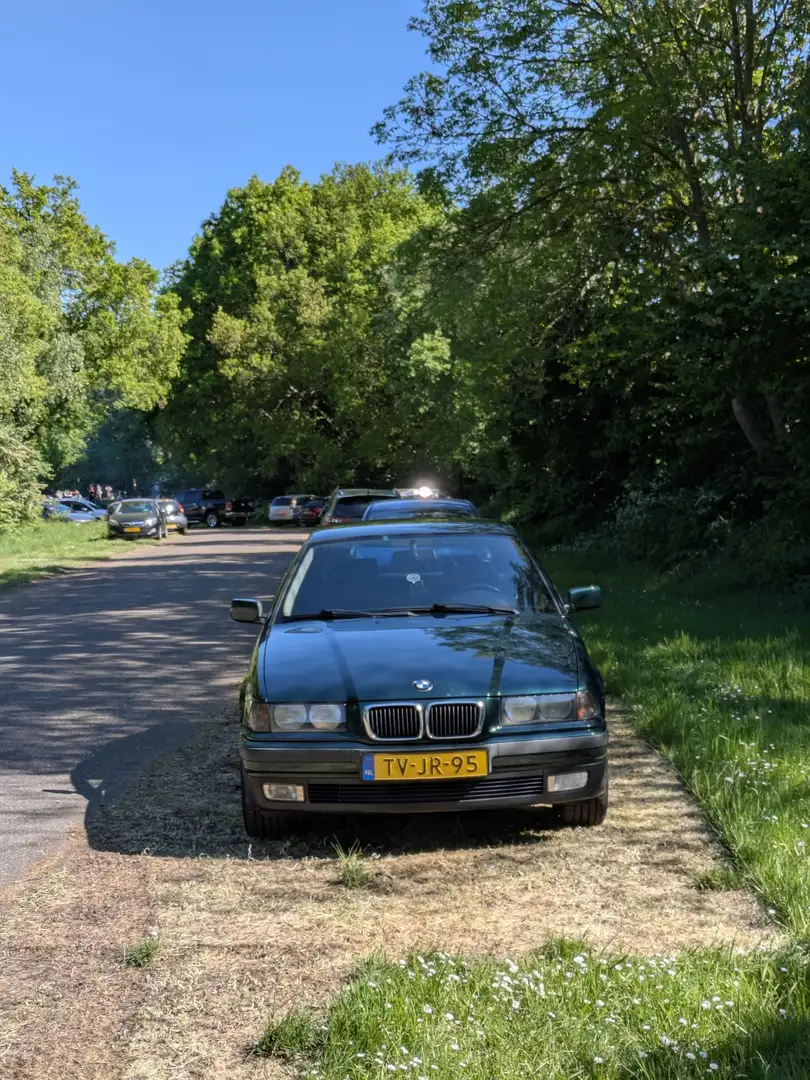 BMW 316 316i Coupé SE Verde - 2