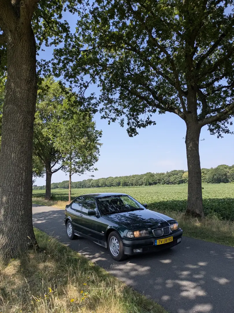 BMW 316 316i Coupé SE Verde - 1