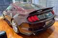 Ford Mustang Fastback 2.3 EcoBoost aut. KIT SHELBY Rouge - thumbnail 6