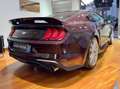 Ford Mustang Fastback 2.3 EcoBoost aut. KIT SHELBY Rouge - thumbnail 7