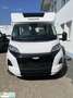 Pilote P690D Evidence  AKTIONSPREIS CARAVANING TAGE! Weiß - thumbnail 1