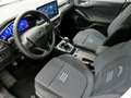 Ford Focus 1.0 ECOBOOST MHEV 114KW ACTIVE DESIGN SIP 155 5P Bleu - thumbnail 14
