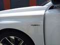 Peugeot 308 Allure PlugIn Hybrid ACC*LED*Navi*Klima* Blanco - thumbnail 21