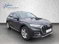 Audi Q5 Advanced Q5 40 TDI AHK|Matrix|Business|NAV|Cam|Sound Grau - thumbnail 8