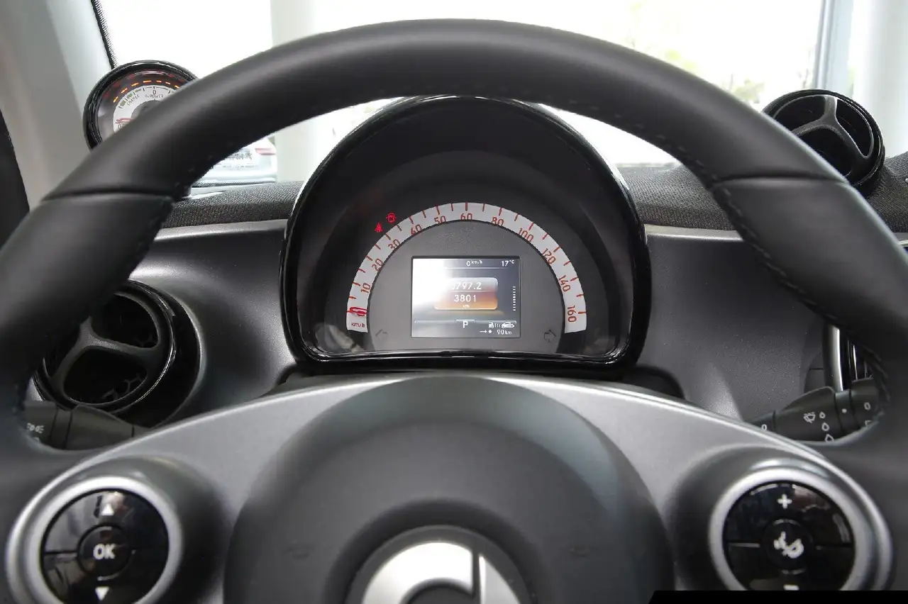 smart forTwo smart EQ fortwo 22kW Bordlader/Exclusive-Paket 13