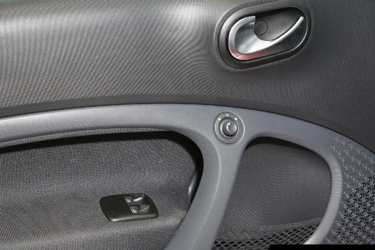smart forTwo smart EQ fortwo 22kW Bordlader/Exclusive-Paket 14