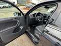 Volkswagen Tiguan R-Line TDi Head-up-Display / Harman Kardon Schwarz - thumbnail 20